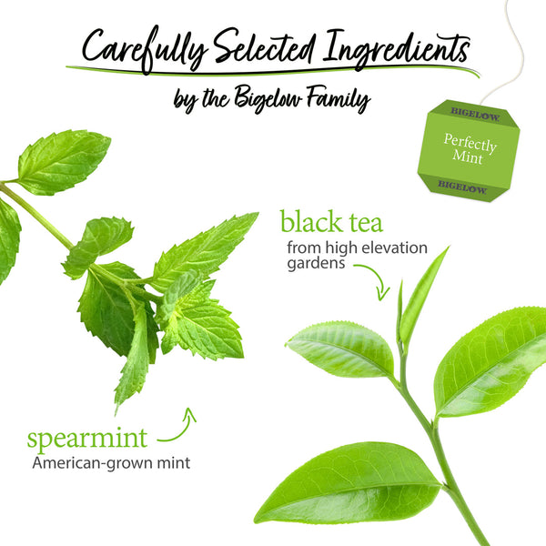 Bigelow Tea, Plantation Mint - 3