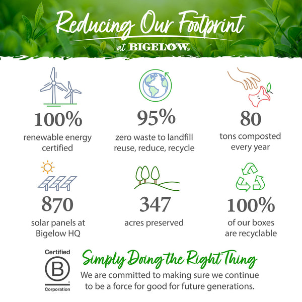 Bigelow Tea, Plantation Mint - 6